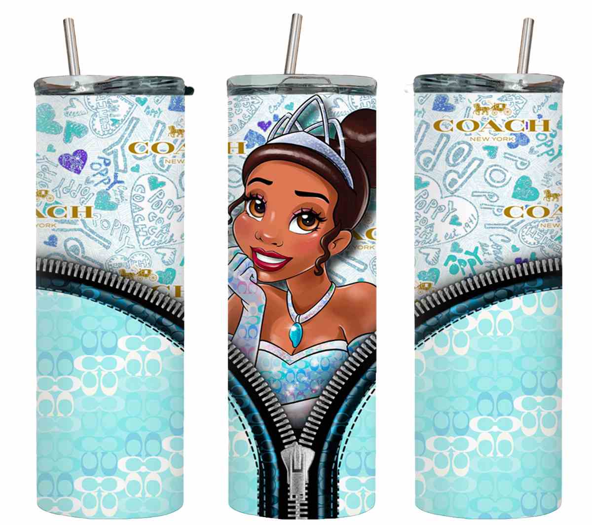 Princess Zipped-11170